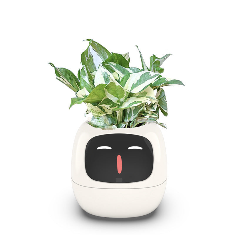 IVY: La complicité entre vous et vos plantes commence ici