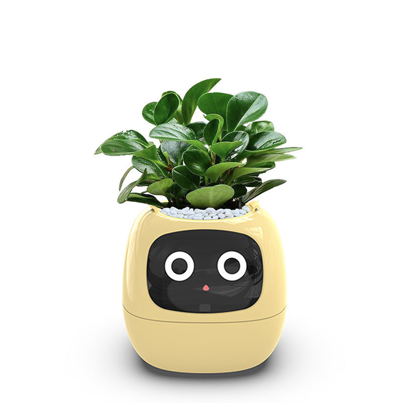 IVY: La complicité entre vous et vos plantes commence ici