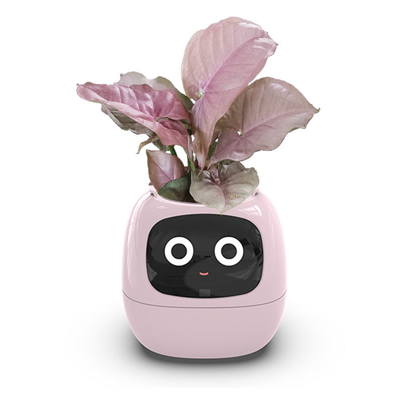IVY: La complicité entre vous et vos plantes commence ici