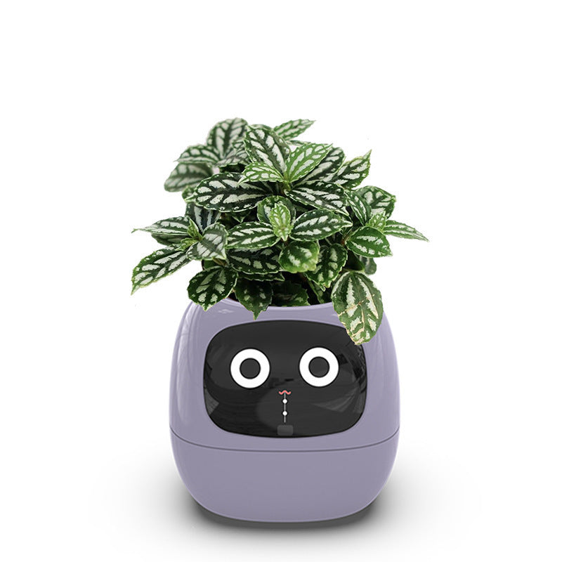 IVY: La complicité entre vous et vos plantes commence ici