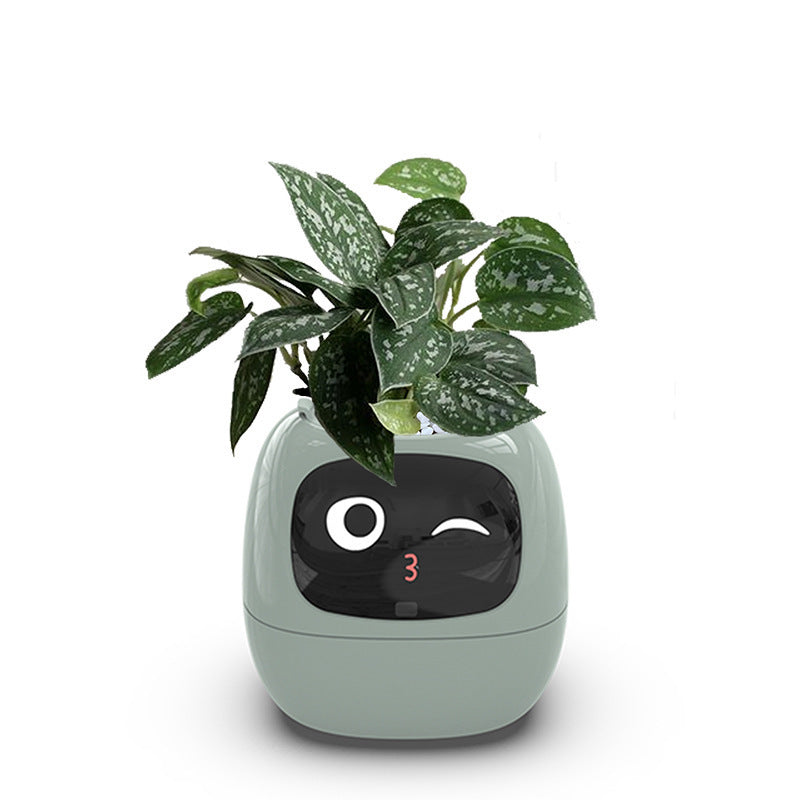 IVY: La complicité entre vous et vos plantes commence ici