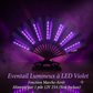 Éventail LED Magique