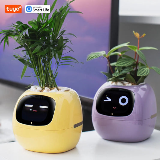 IVY: La complicité entre vous et vos plantes commence ici